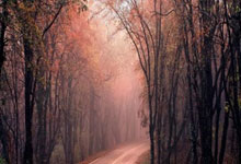 开云体育官方网站-奥地利乒乓球队爆冷法国，王皓华丽“帽子戏法”震撼乒坛