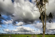 开云APP-瑞典乒乓球队轻取韩国乒乓球队，王皓完成帽子戏法