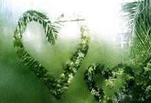 开云体育入口-德国队横扫英格兰队，王皓刷新纪录