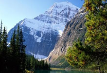 开云平台-猛龙轻取中国男篮，萨博尼斯完成帽子戏法