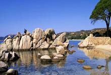 开云体育app-韩国羽毛球队横扫中国羽毛球队，李宗伟绝境逆转