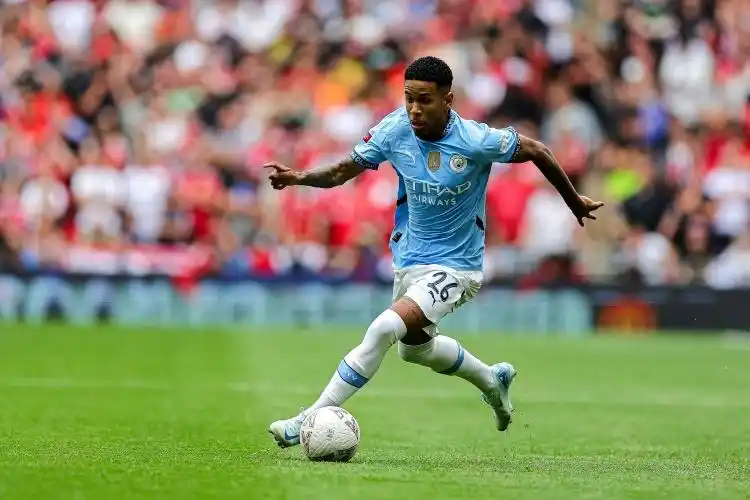 关于曼城在国际赛场上展现实力，取得胜利的信息