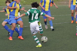 开云体育app-中国乒乓球队逆转法国乒乓球队，水谷隼三分雨点燃全场