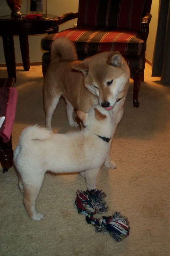 开云体育在线-时代的岔路口，当恩比德无双模式遇见东欧组合魔法